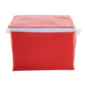Ortit red  cooler bag 