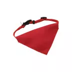 Rex red  dog's collar 