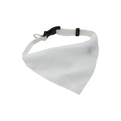 Rex blanc  collier pour chien 