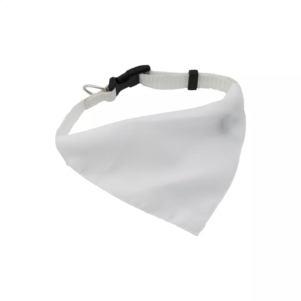 Rex white  dog's collar 