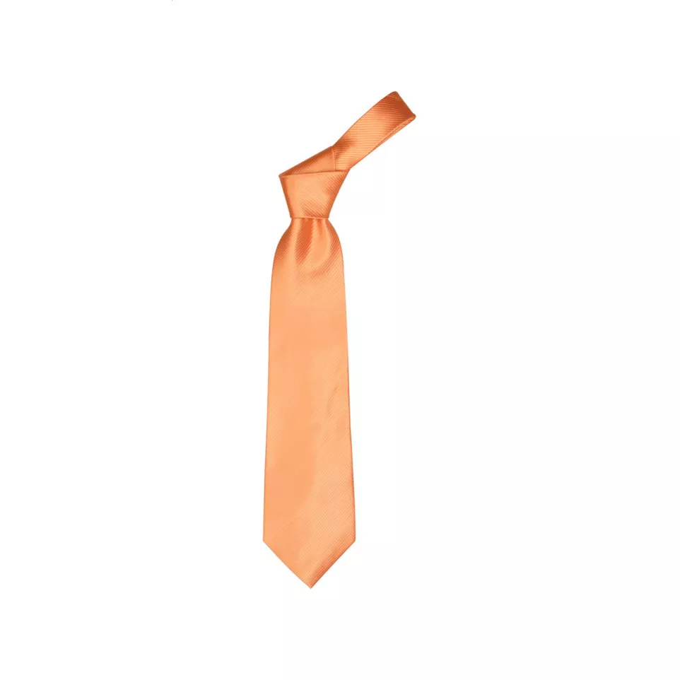 Colours orange  necktie 