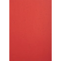 PK 100VL FOREVER ROOD A4 270G-/ St.