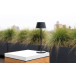 MAUL lampe de table Nina, LED, dimmable, sur pied, anthracite