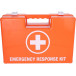 Carpoint trousse de premiers secours 166 parts avec support mural orange
