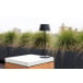 MAUL Nina LED Dimmable Floor Table Lamp Anthracite