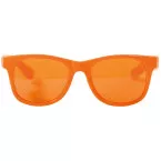Orange Glasses Blues Brothers