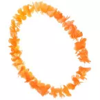 Hawaiian Crown Orange