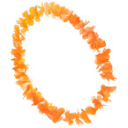 Hawaiian Crown Orange