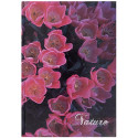OFFICE products schrift, Nature, met harde kaft, A5, 96 blad, met kantlijn, geruit 5mm