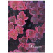 OFFICE products Notebook, Nature, Hardcover, A4, 96 Sheets, with Margin, 5mm Squared