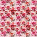 Geschenkpapier Special Moments, 70 cm x 2 m
