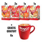 ACTION ROYCO: 2 x potiron,...