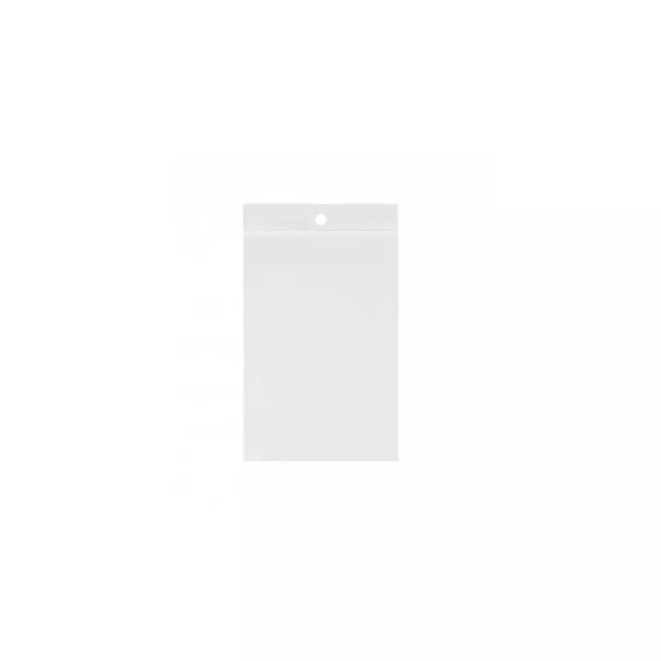 Seal Bag with Eyelet 160 x 250 mm 50...