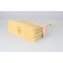 Brosse à cuvelage des caves  180 mm / pce