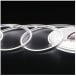 LED Neon Flex 4x8mmx25m 24V Cool White 6.2W/m 580lm/m IP20 / 25m