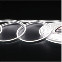 LED Neon Flex 4x8mm x 5m 24V Cool White 6.2W/m 580lm/m IP20 / 5m