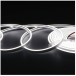 LED Neon Flex 4x8mm x 5m 24V Cool White 6.2W/m 580lm/m IP20 / 5m
