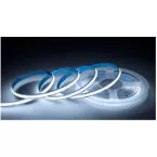 LED COB Premium 25mx8mm 24V blanc froid 13W/m 1220lm/m IP20 / 25m