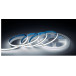 LED COB Premium 5mx8mm 24V blanc neutre 13W/m 1200 lm/m IP20 / 5m