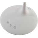 Alba LED Cordless Twin Desk Lamp White