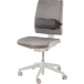 Fellowes Breyta Lumbar Cushion Back Support for Office Chair Black