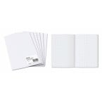 Aurora Minister Grid Paper...