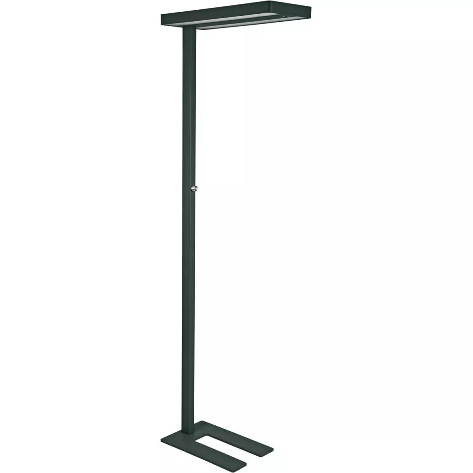 MAULjuvis lampadaire, LED, noir
