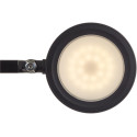 MAULgrace luminaire de bureau, LED, noir
