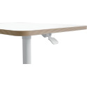 Leitz Ergo Zit/Sta bureau, ft blad 80 x 60 cm, manueel, mobiel
