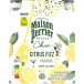 Maison Perrier Chic Citrus Fizz Mocktail Lemon and Herbs 25cl Can Pack of 4