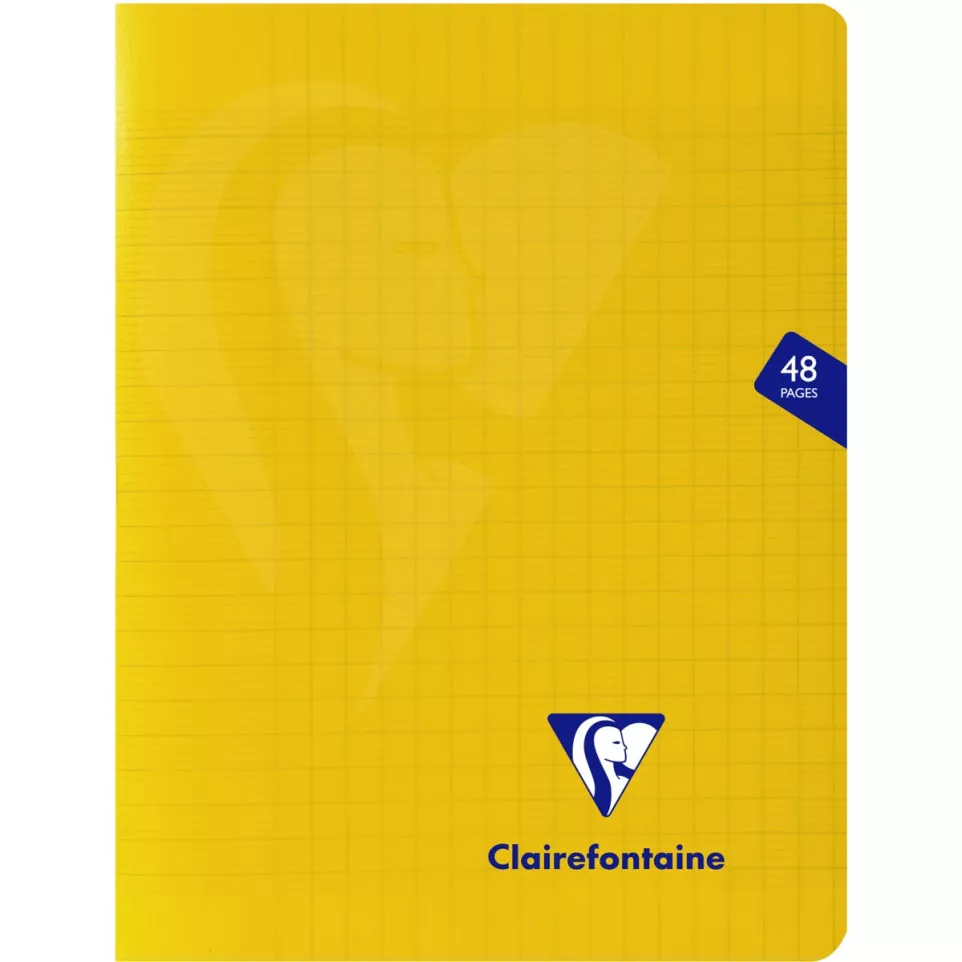 Clairefontaine cahier Mimesys, ft 17...