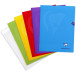 Clairefontaine cahier Mimesys pour ft A4+, 48 pages, couverture en PP, séyès, couleurs assorties