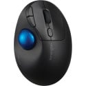 Kensington Pro Fit Ergo TB450 Trackball