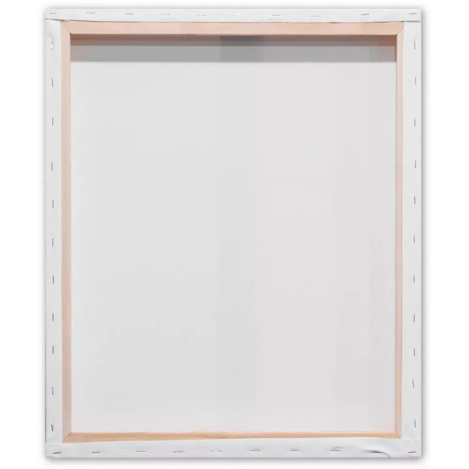 Kangaro 3D Stretched Canvas Frames 50...