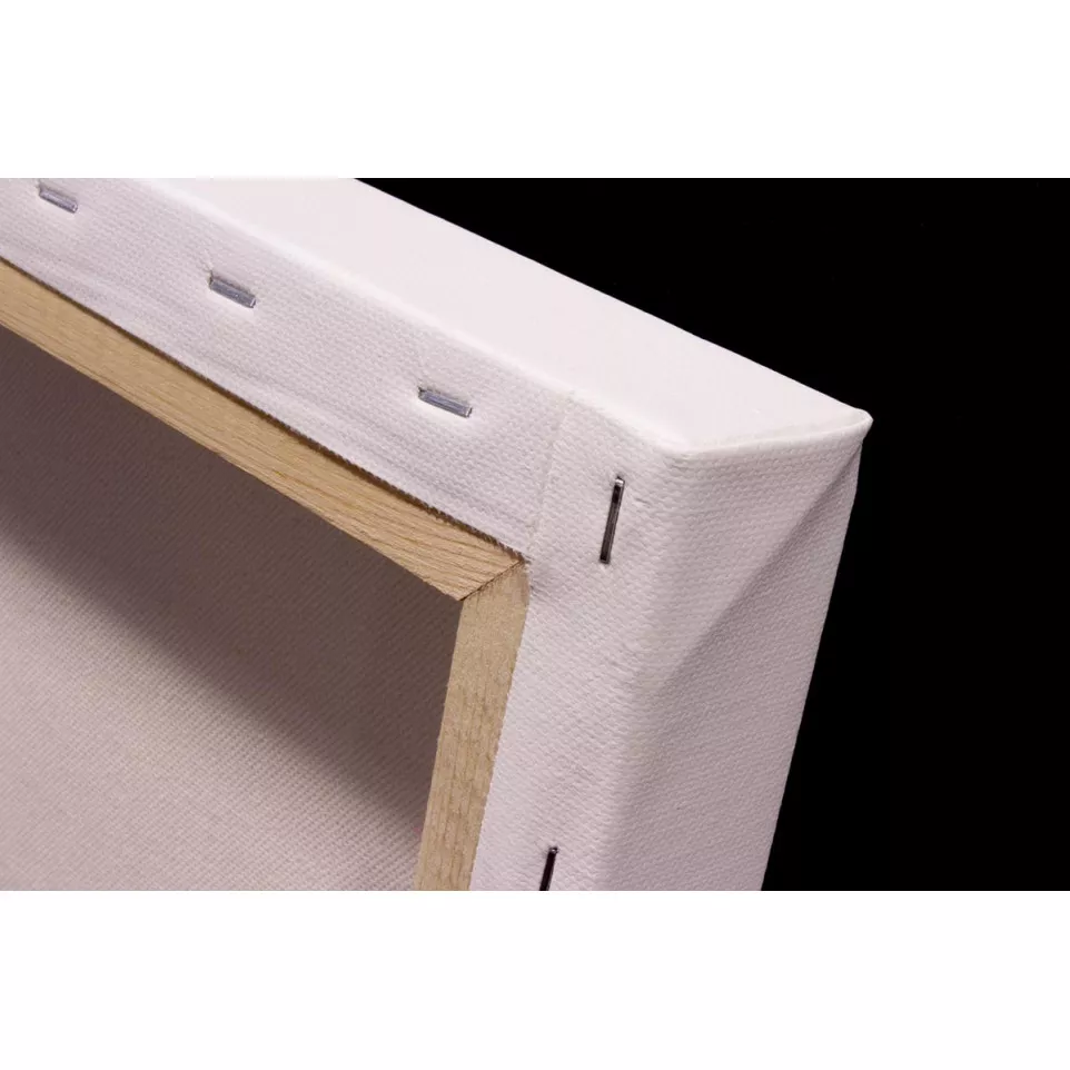 Kangaro 3D Stretched Canvas Frames 50...