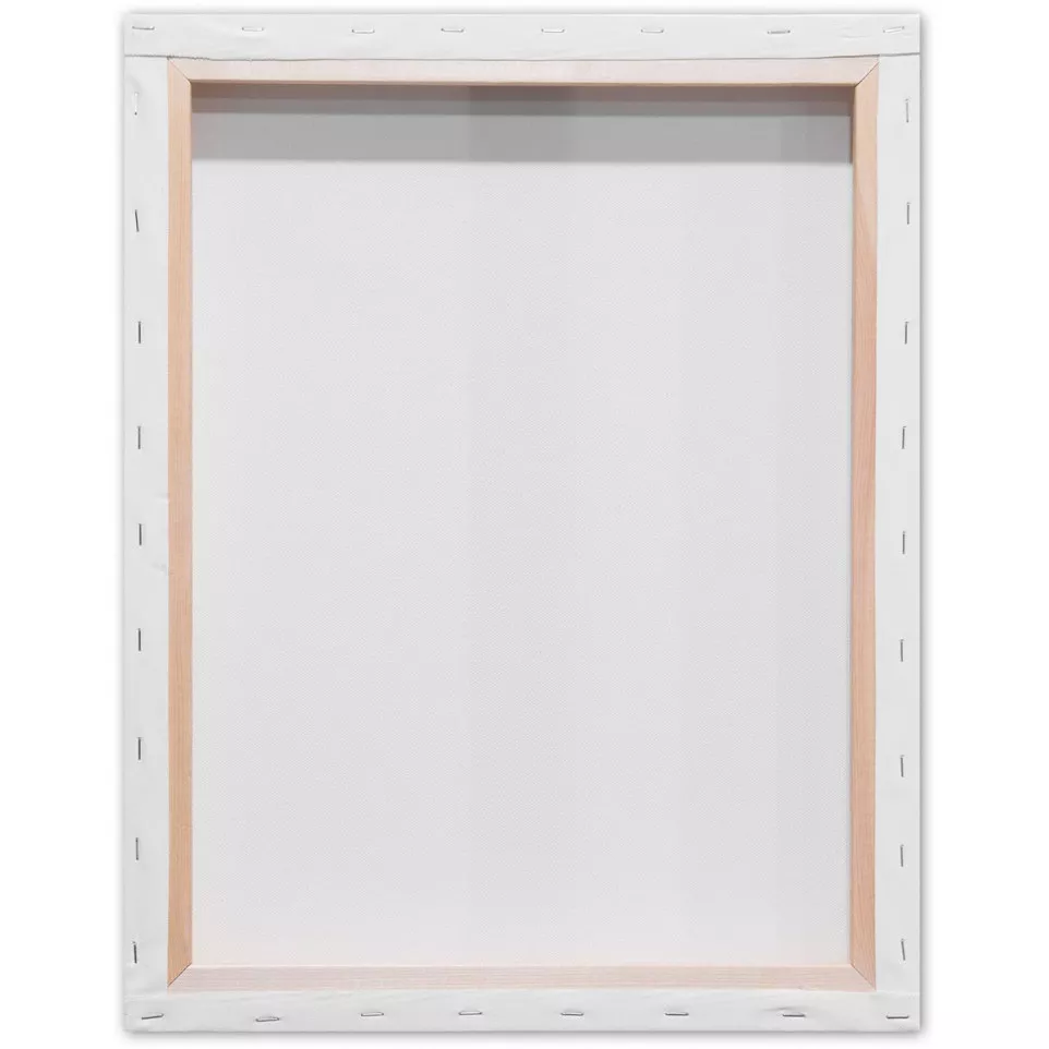 Kangaro 3D Stretched Canvas, 40 x 50 cm