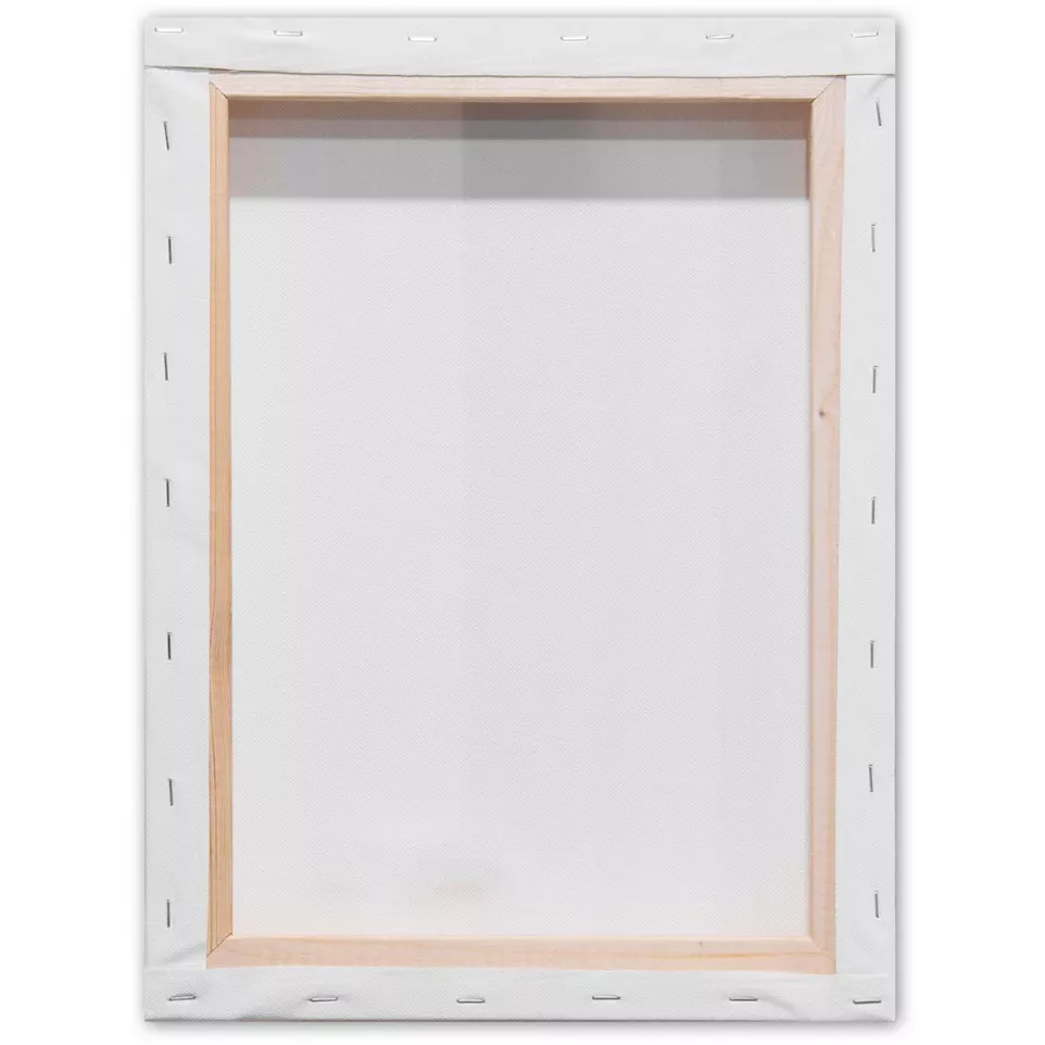Kangaro 3D Stretched Canvas Frame 30...