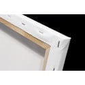 Kangaro Stretched Canvas Frame 60 x 80 cm