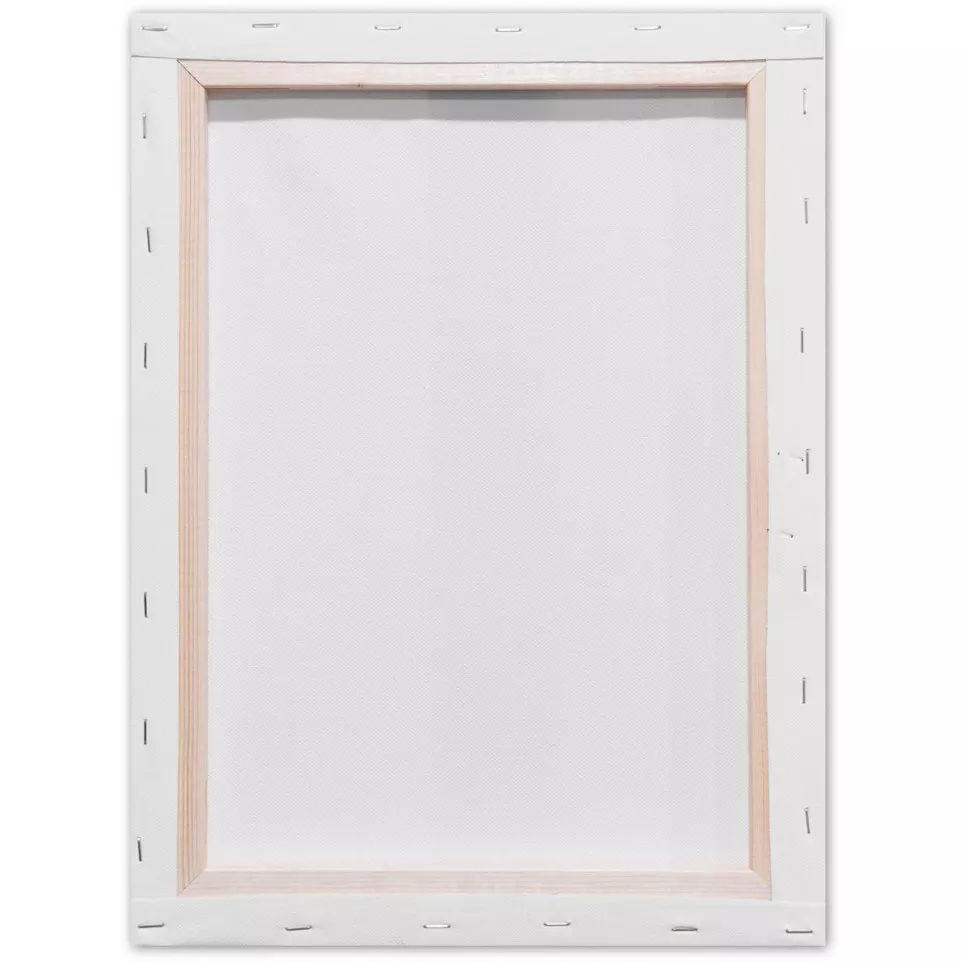 Kangaro Stretched Canvas Frame 30 x...