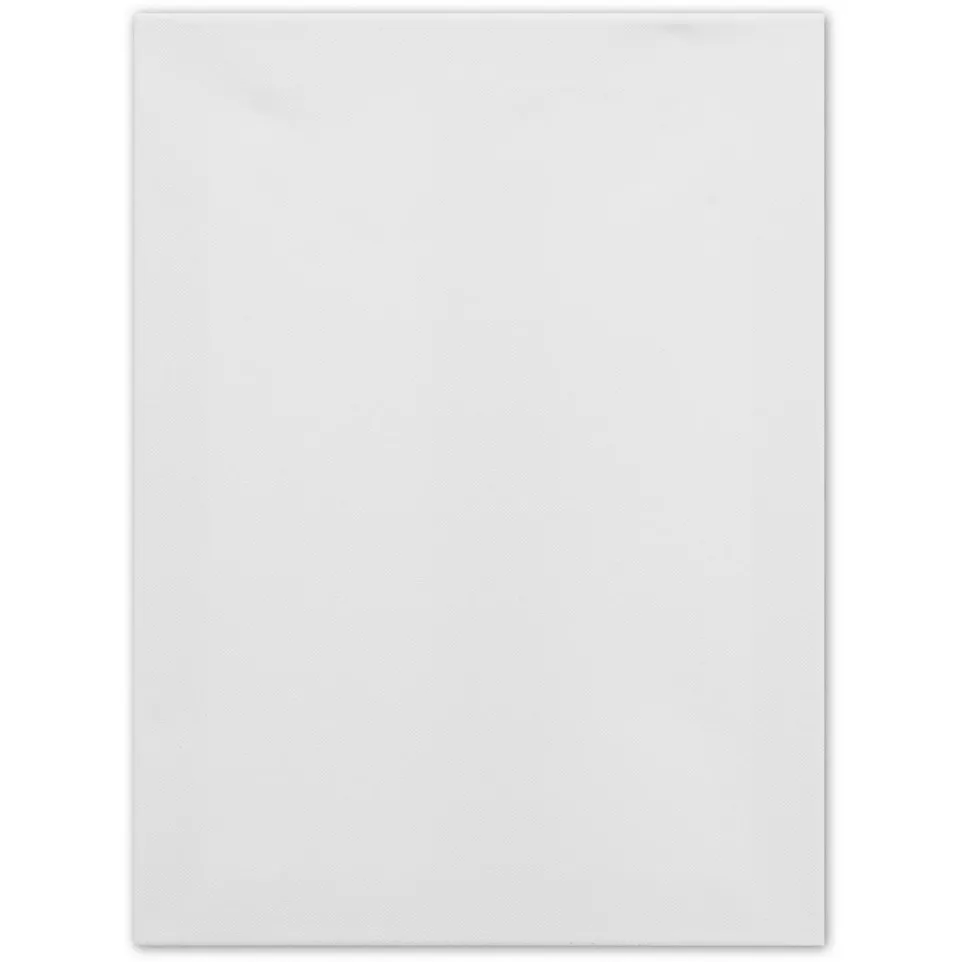 Kangaro Stretched Canvas Frame 30 x...