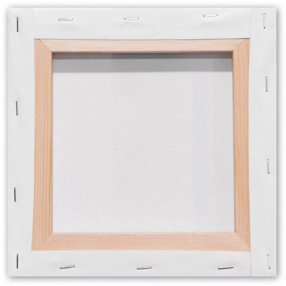 Kangaro Stretched Canvas 20 x 20 cm
