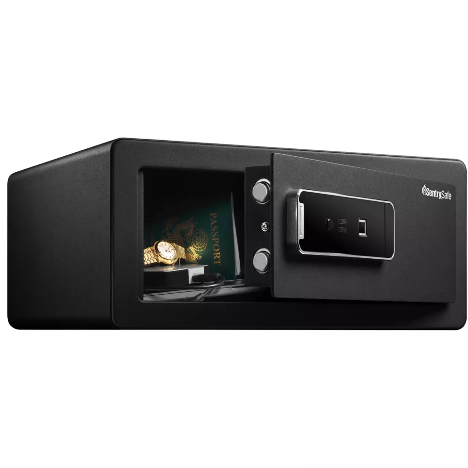SentrySafe LX110B Biometric Security...