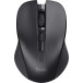 Trust souris silencieux sans fil Mydo, noir