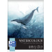 Oxford Spiral Watercolour Pad A4 10 Sheets 300 gsm