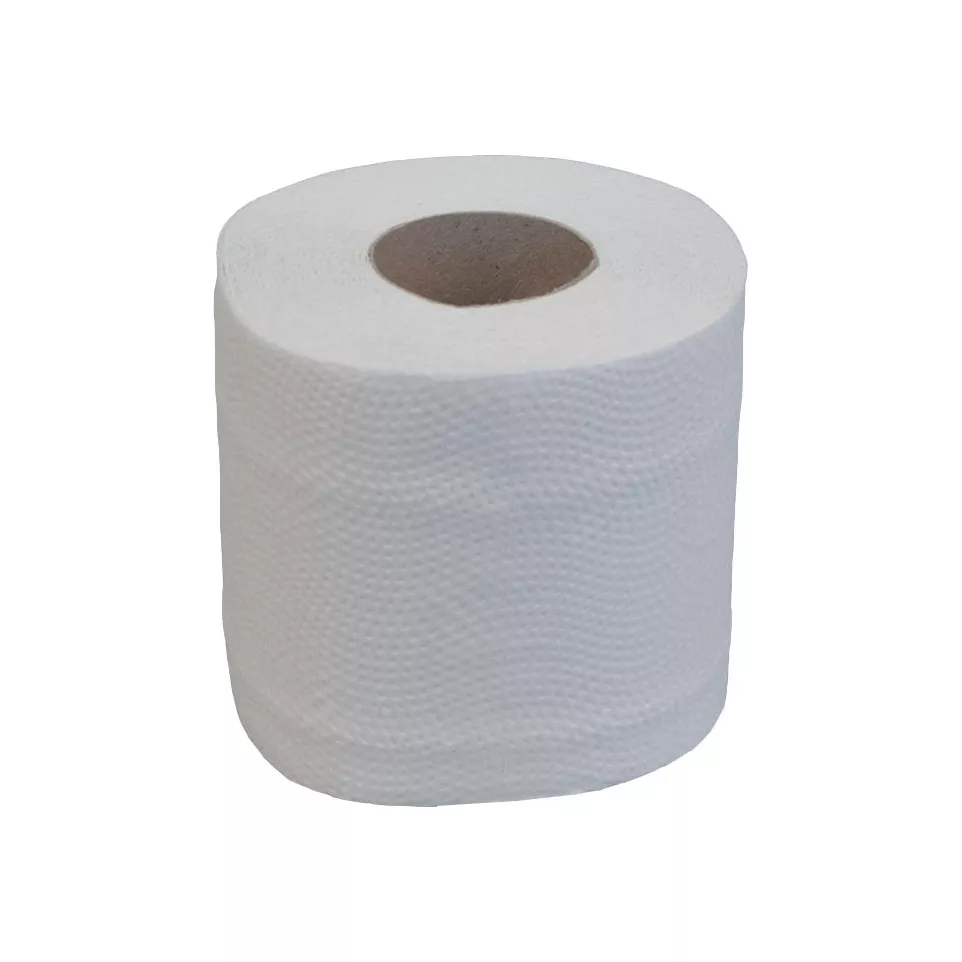 Katrin Toilet Paper 2-Ply 250 Sheets...