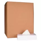 Tissues, 2 plis, 100 tissues par boïte, paquet de 40 boïtes