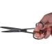 Desq schaar 18 cm, verchroomd, asymmetrische ogen