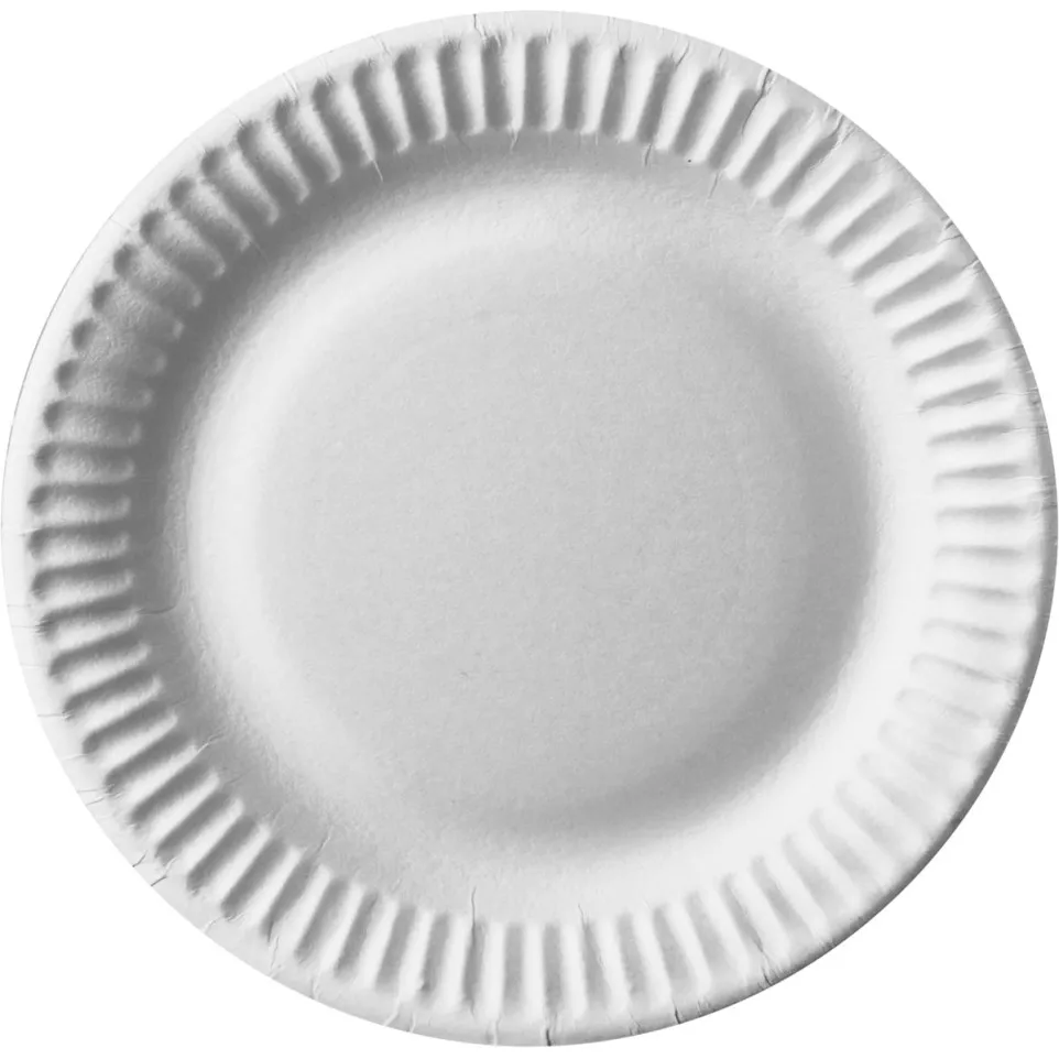 Pure Round White Paper Plates, 15 cm...