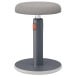 Leitz Ergo Cosy tabouret Assis/Debout actif, gris