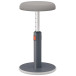 Leitz Ergo Cosy actieve Zit/Sta kruk, grijs